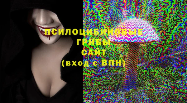 гашиш Новодвинск