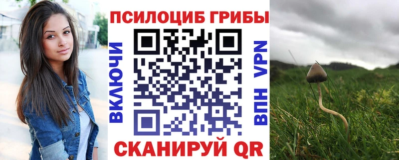 Псилоцибиновые грибы Cubensis  что такое   Петушки 
